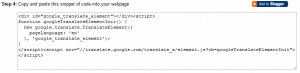 Google Translate Widget - Grab Code