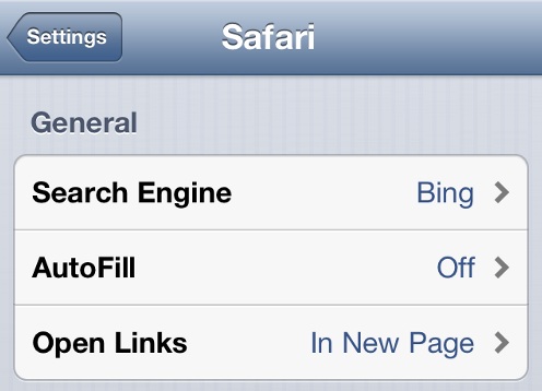 Change Default Search Engine in iPhone