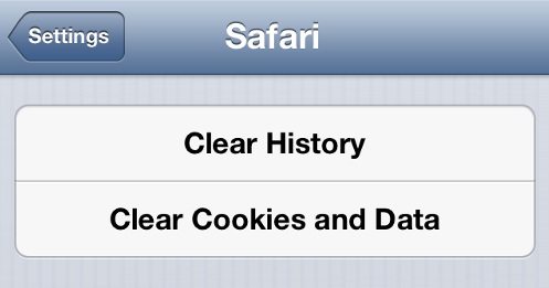 Clear iPhone Browsing History