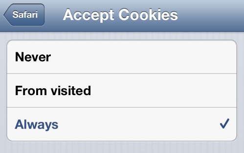 iPhone Accept Cookies Always