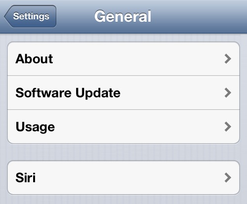 iPhone Settings General Option