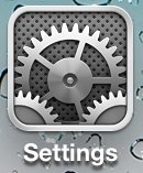 iPhone Settings Icon