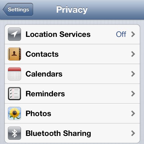 iPhone Settings Privacy Option