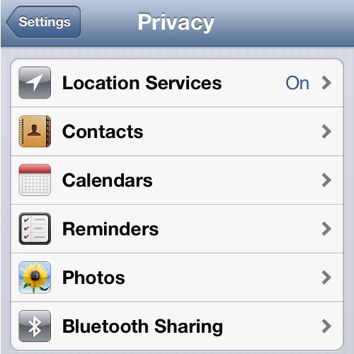 iPhone Settings Privacy Option