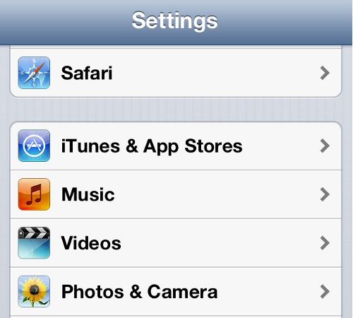 iPhone Settings Safari Options