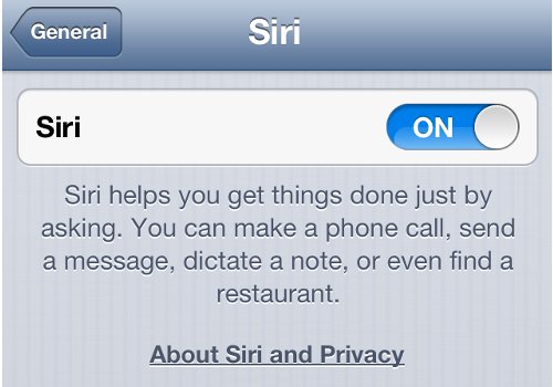 iPhone Settings Siri Options