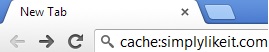 Cache Webpage in Google